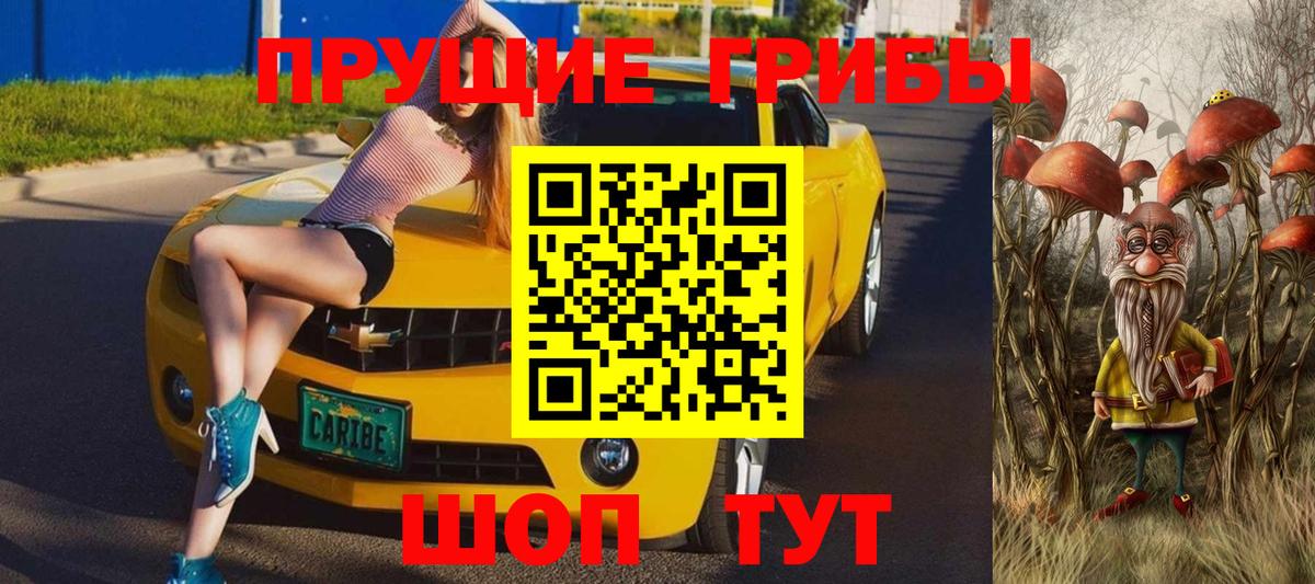 Псилоцибиновые грибы GOLDEN TEACHER  Вход с VPN  Верхняя Пышма 